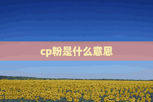 cp粉是什么意思(唯粉和cp粉是什么意思)